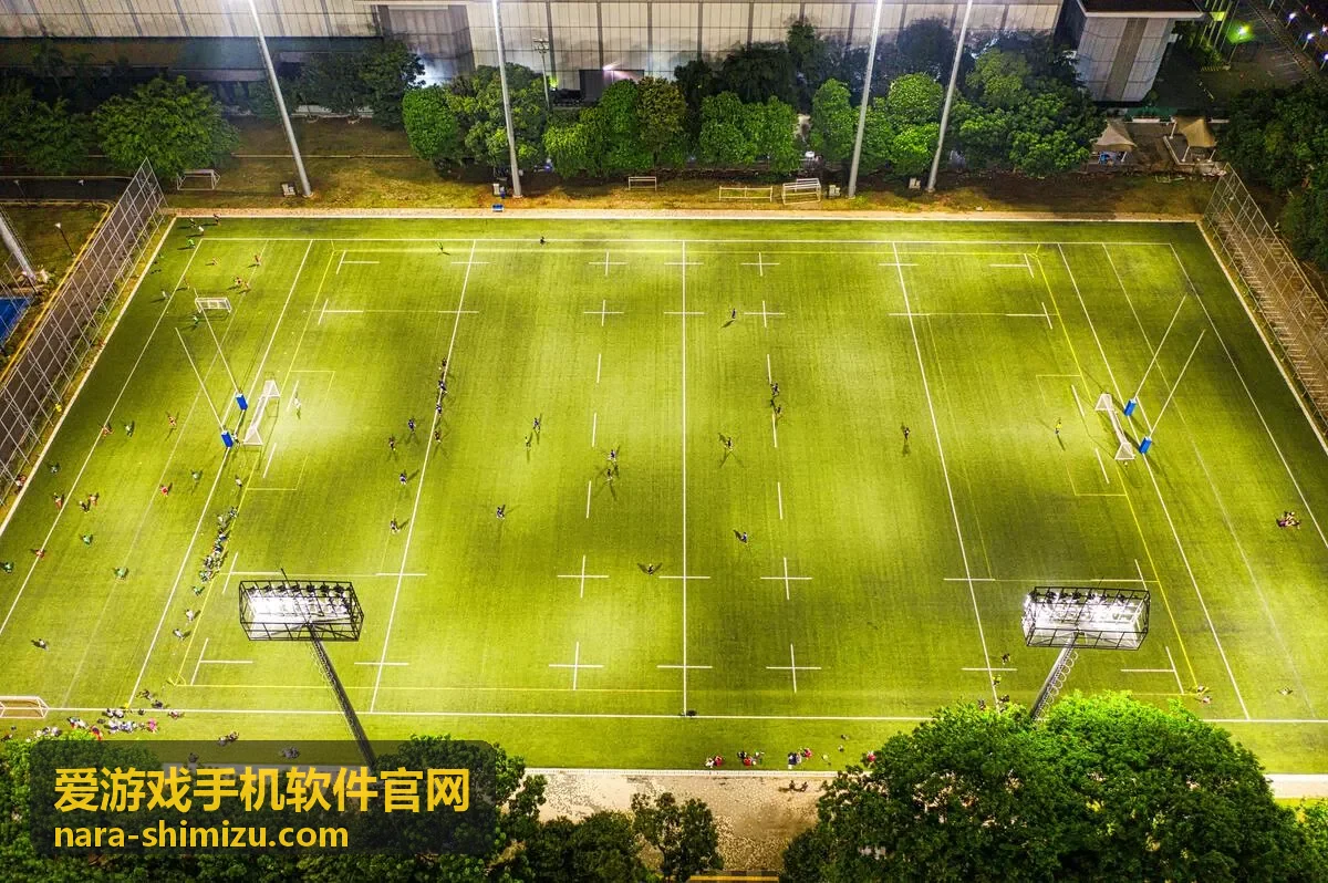 爱游戏手机软件官网应用教程中更新失败与闪退排查顺序配图